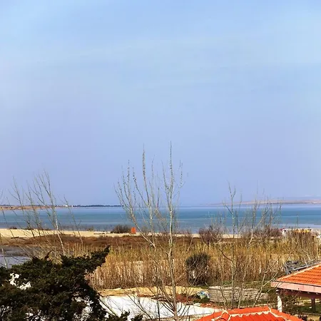 Dragica